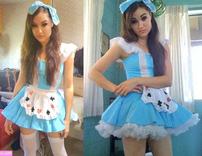 Down the rabbit hole, into a wonderland