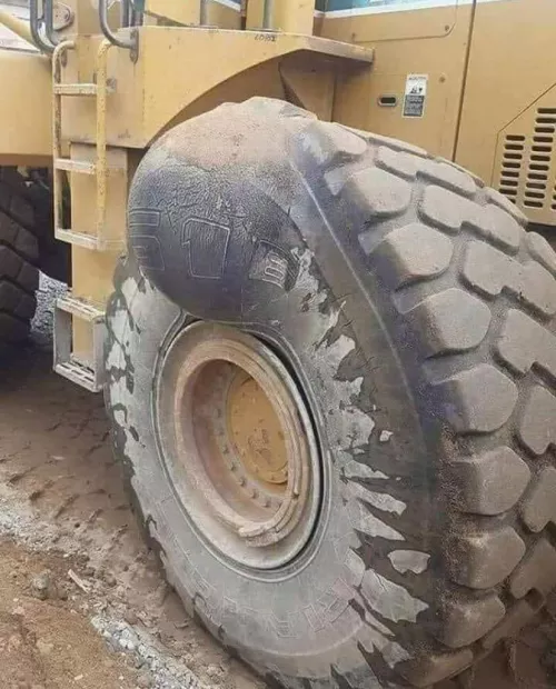 Largest ever forbidden pop?