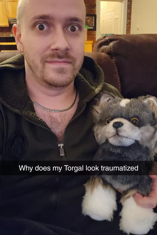Torgal survived the shipping process, but it left some scars