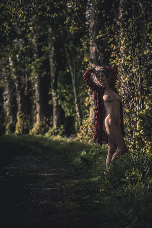 Winter light is harsh but tantalising