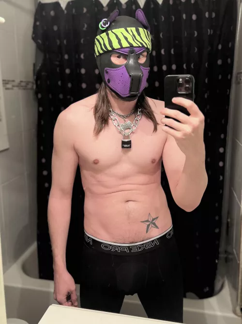 Awruf! Hope your day has been good pups! 🐶