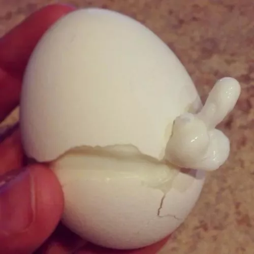 I think the egg is ready…