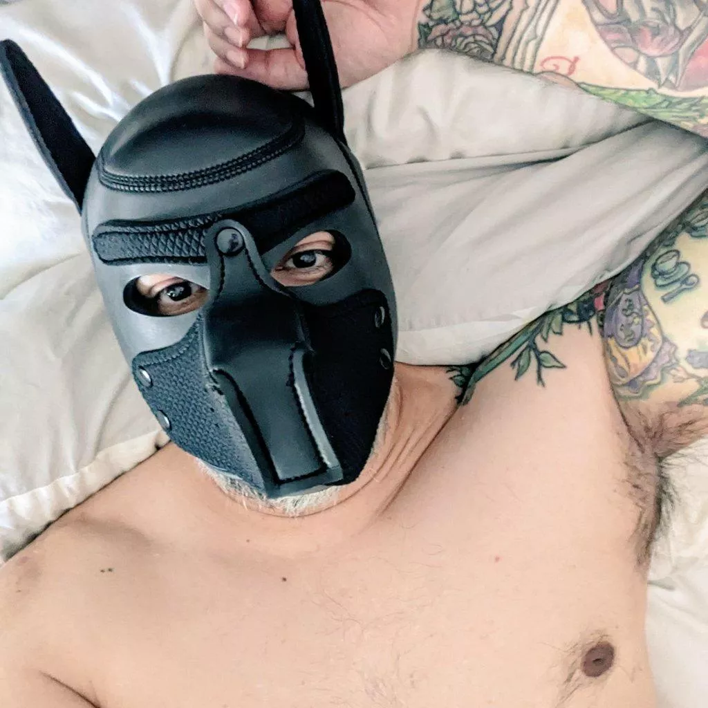 Lazy pup doesn't want to get out of bed.