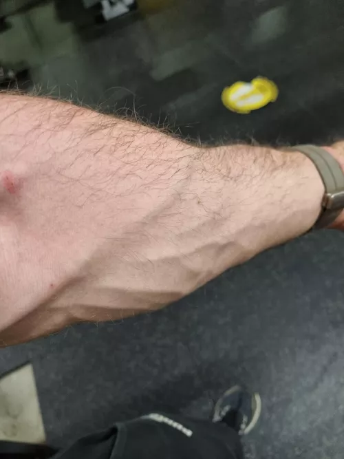 Making some progress 😌