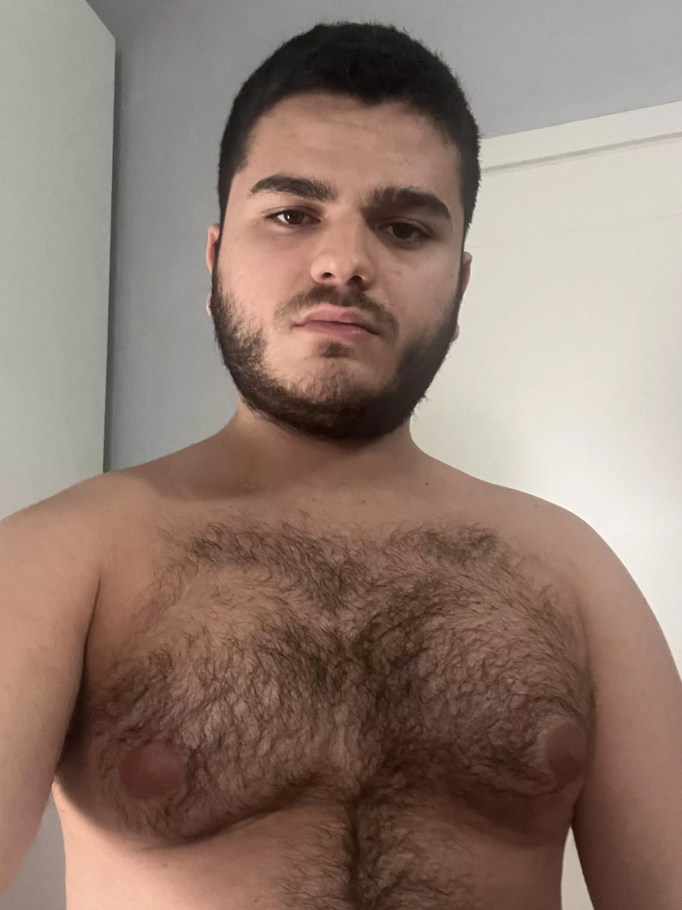 My arab hairy chest