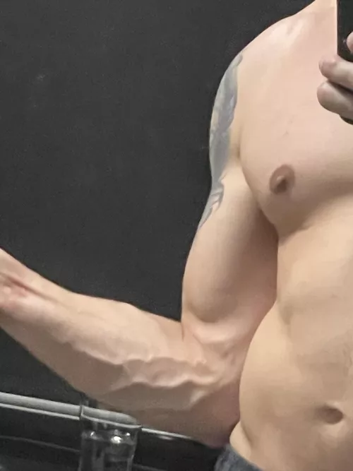 Veins