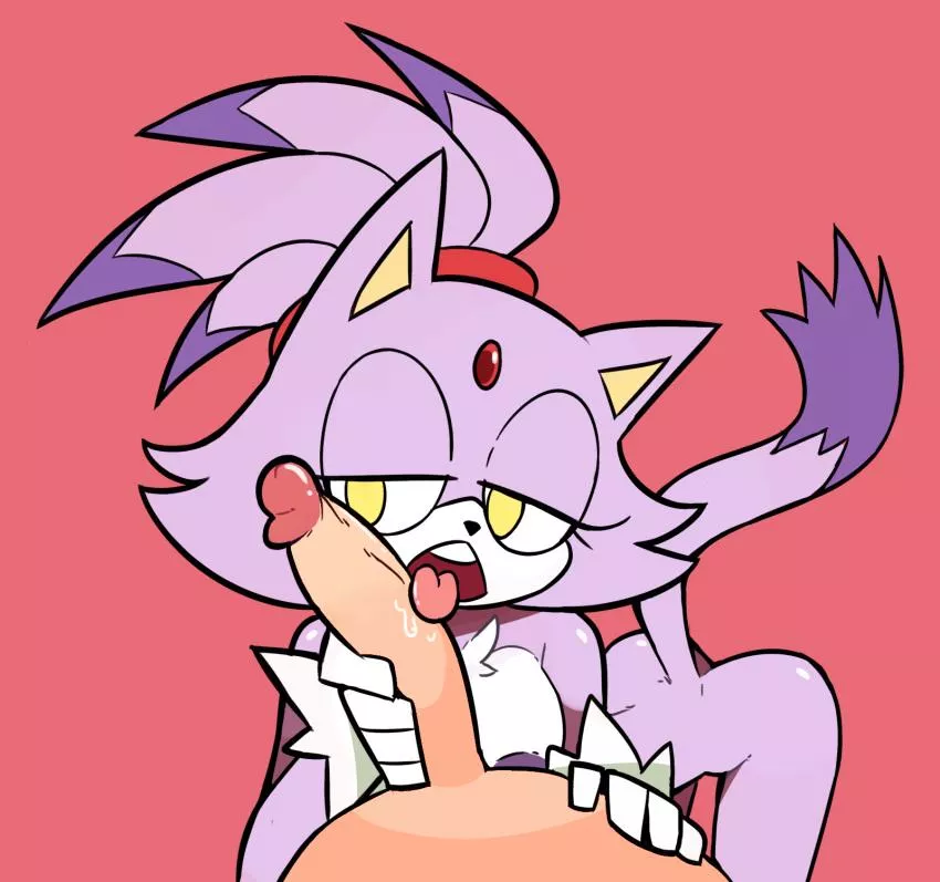 Blaze the Cat (Miscon)
