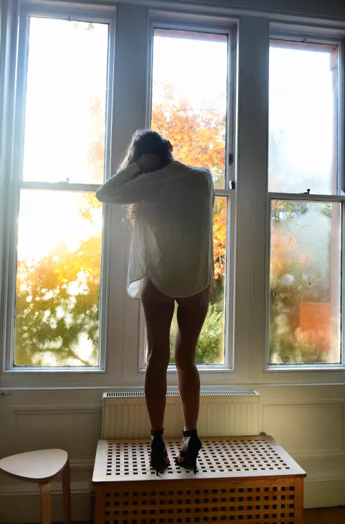 booty by the window OC