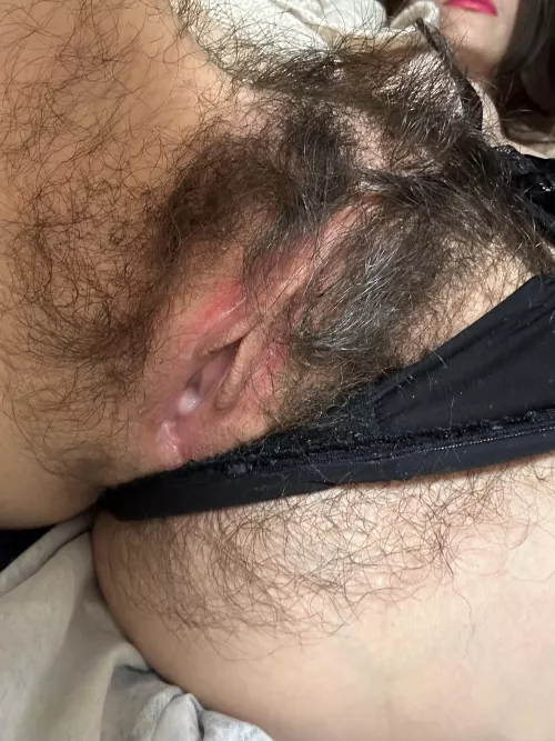 Fly me to the moon [h]