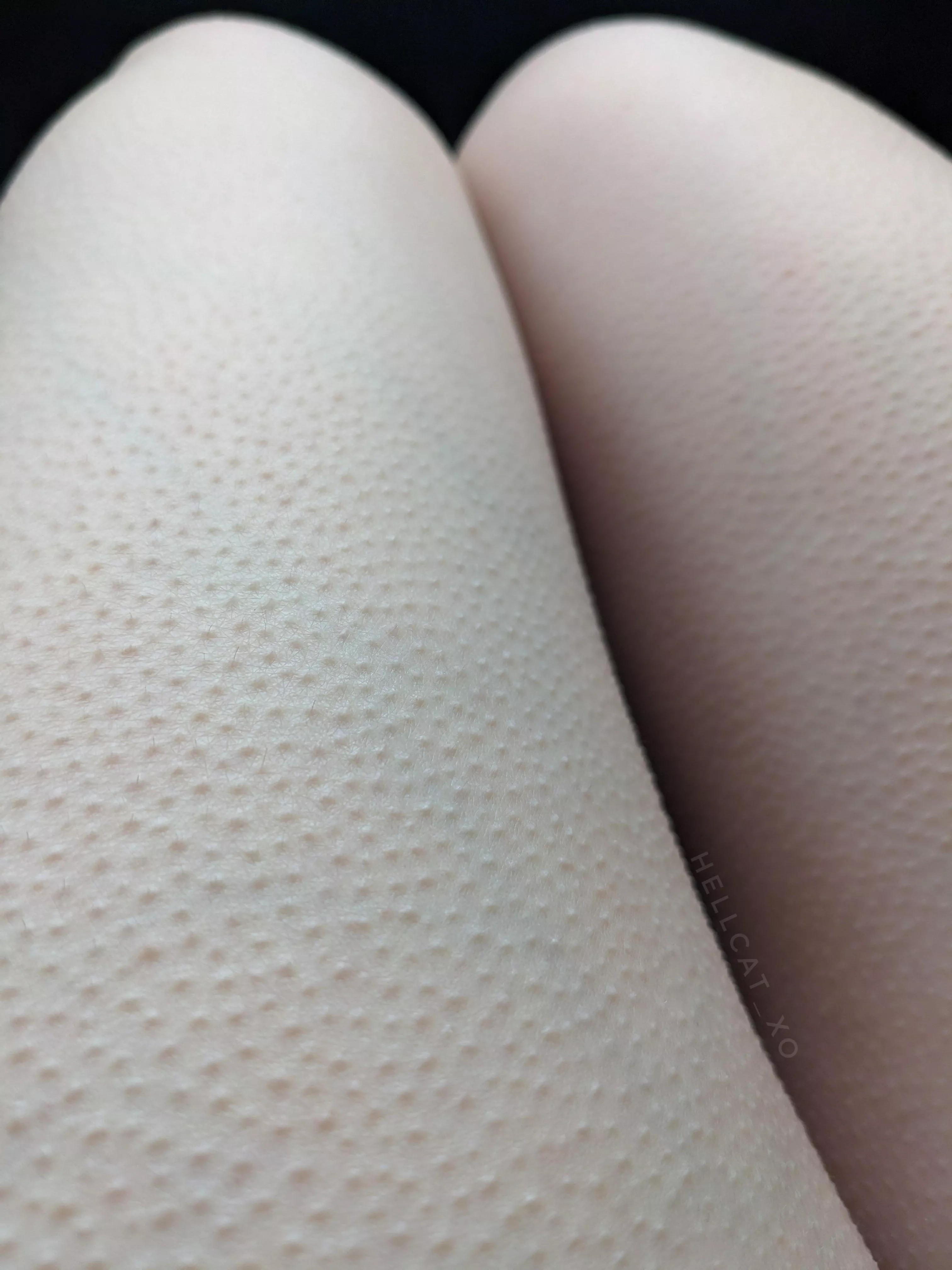 goosebumps from my favorite line in a song