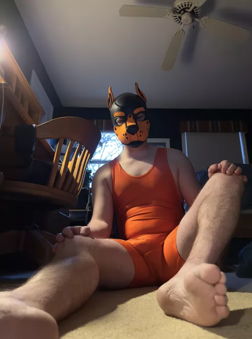 I think you know what to do.