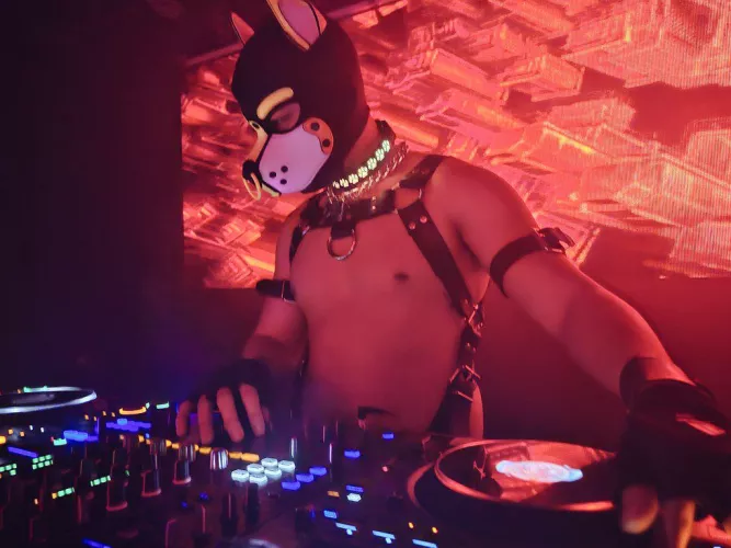 It's my cake day!! 🎂