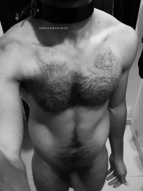 anyone in need of a boytoy?