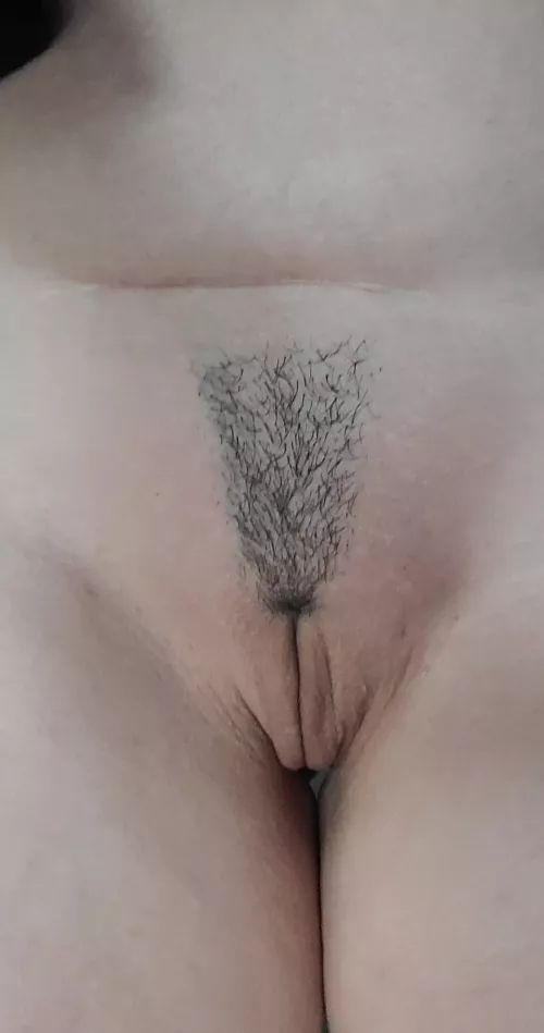 Freshly trimmed simp ready for a workout.