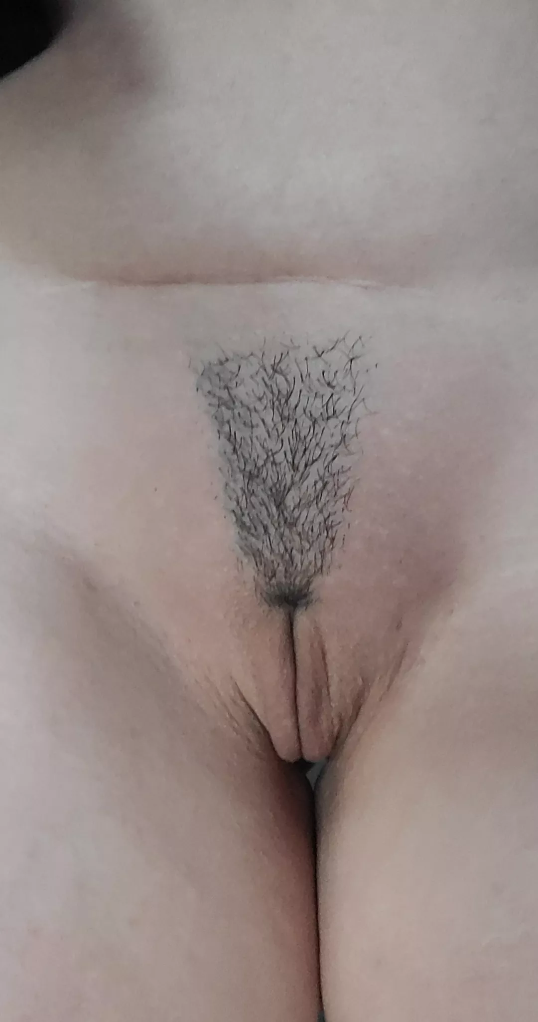 Freshly trimmed simp ready for a workout.