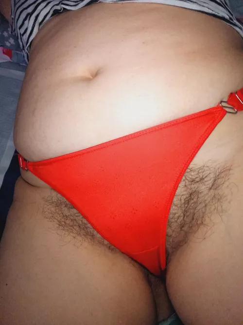 I think I'll cut some of this bush down. Do you think it is necessary?