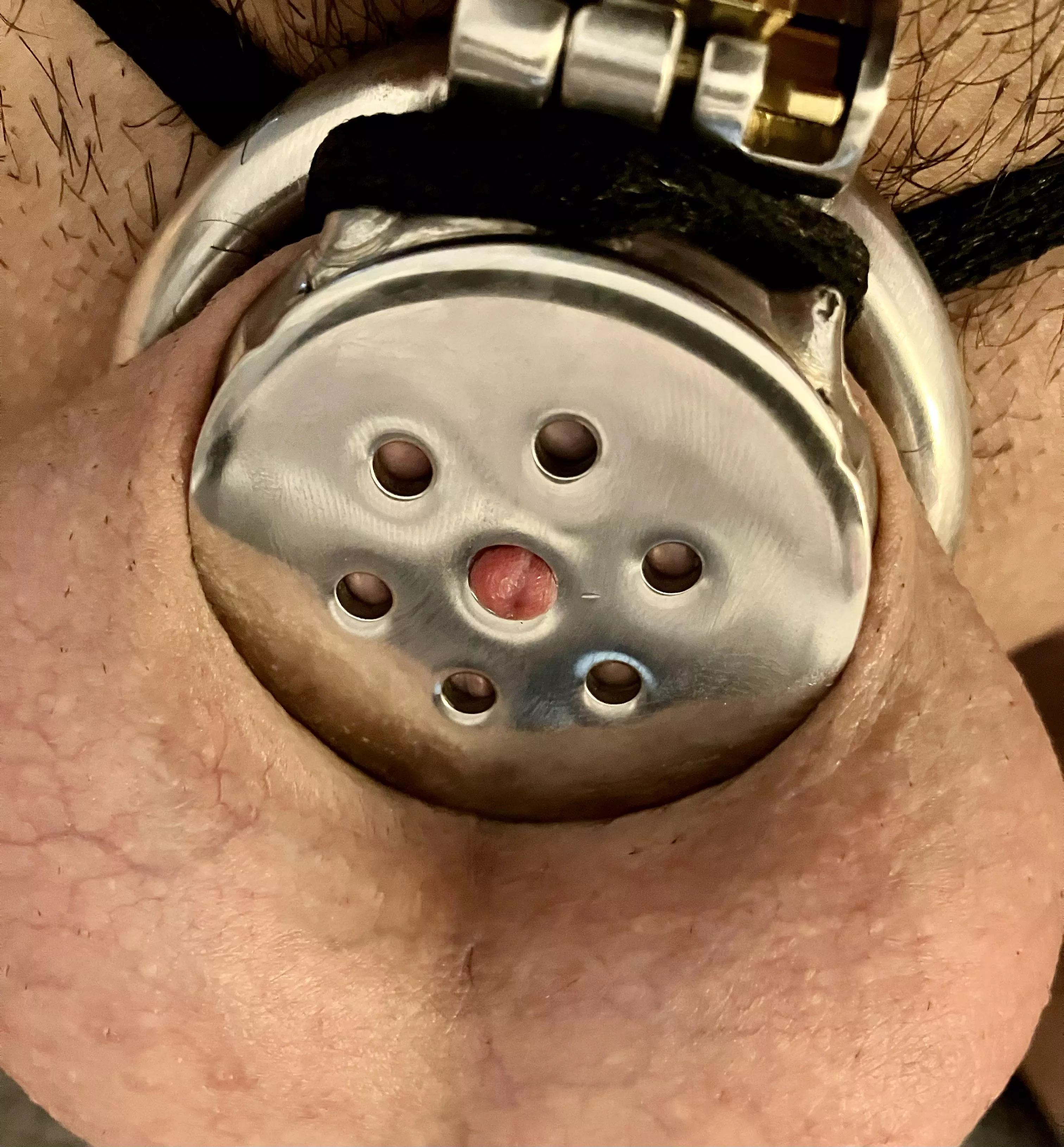 What a beauty ❤️ keyholding it