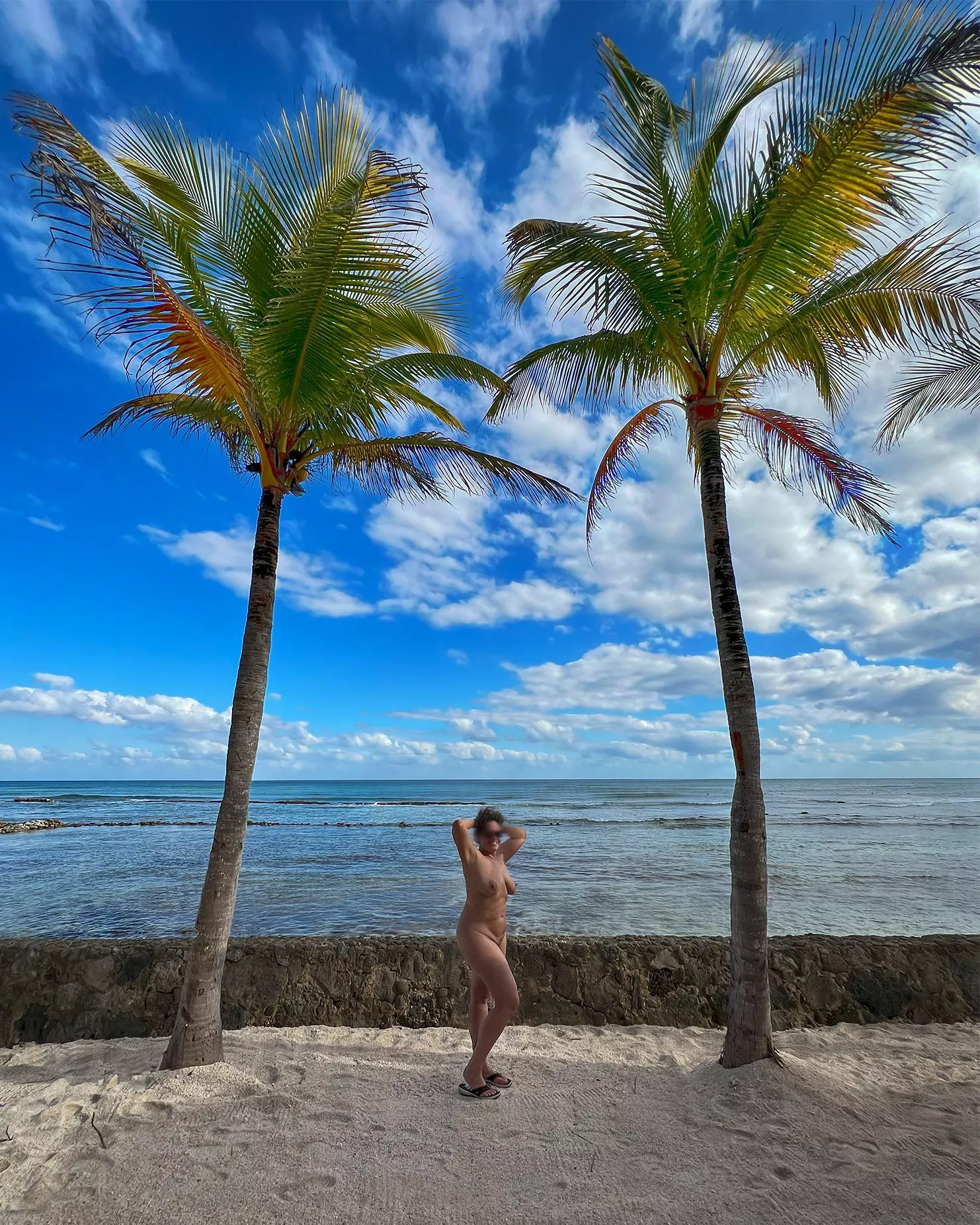 an Iris in the palms