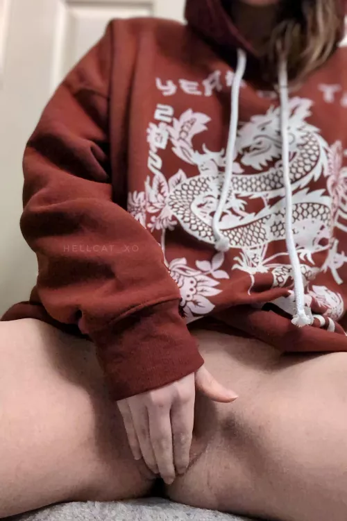 happy year of the wood dragon!