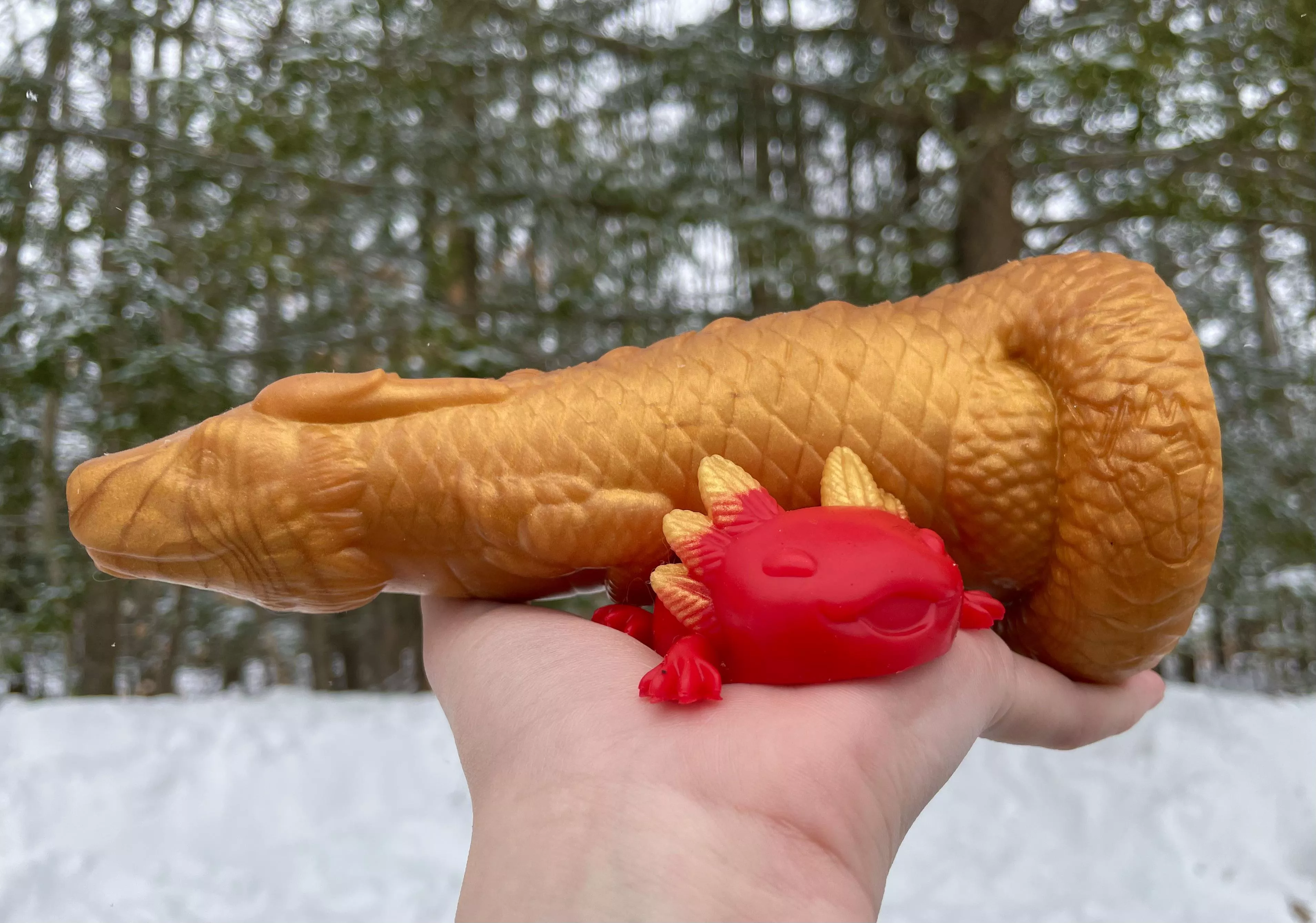 KUNG HEI FAT CHOY!! Happy Lunar New Year!! Year of the Dragon! 🐲🧧✨