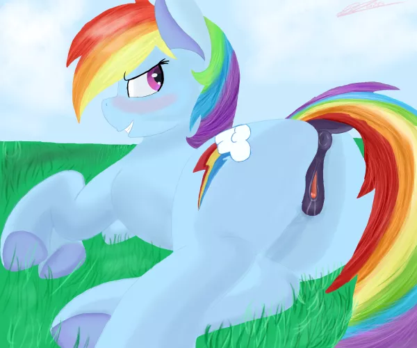 Rainbow Dash in a grassy field {Artist:me}