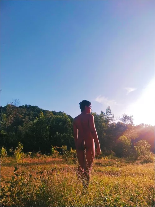 Some aesthetic picture I took in the morning