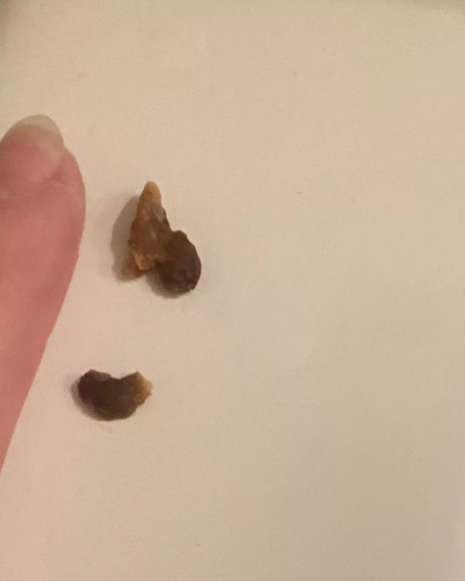 flushed these out of both ears. the world has never sounded so crisp in my life.