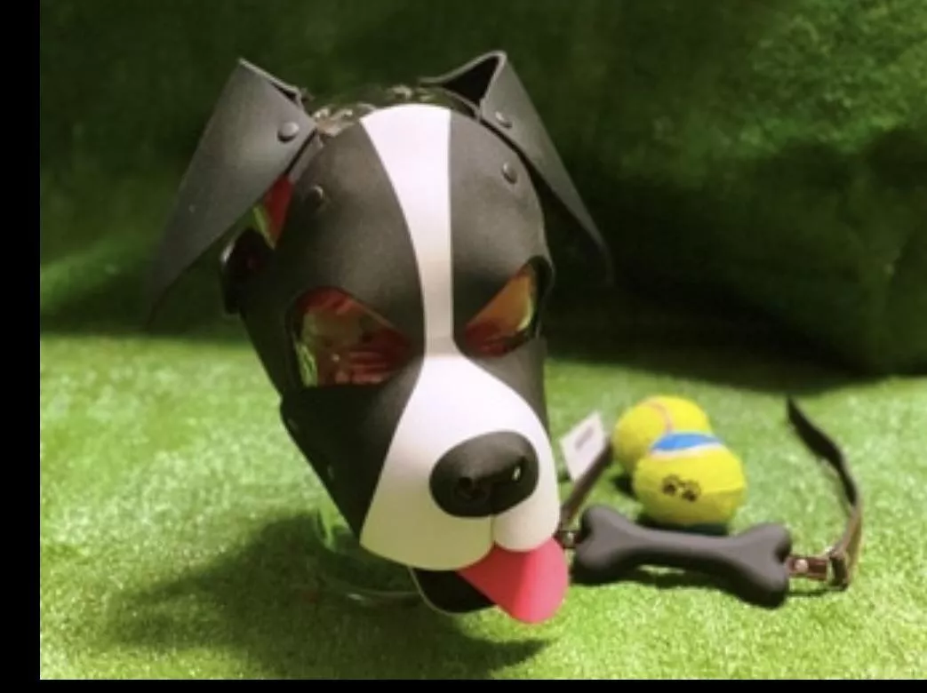 Just ordered my first puppy hood can't wait to receive it