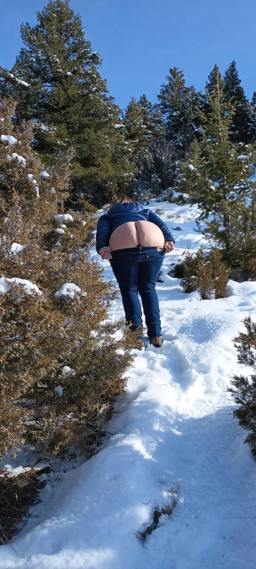 Perfect day for a hike in the snow