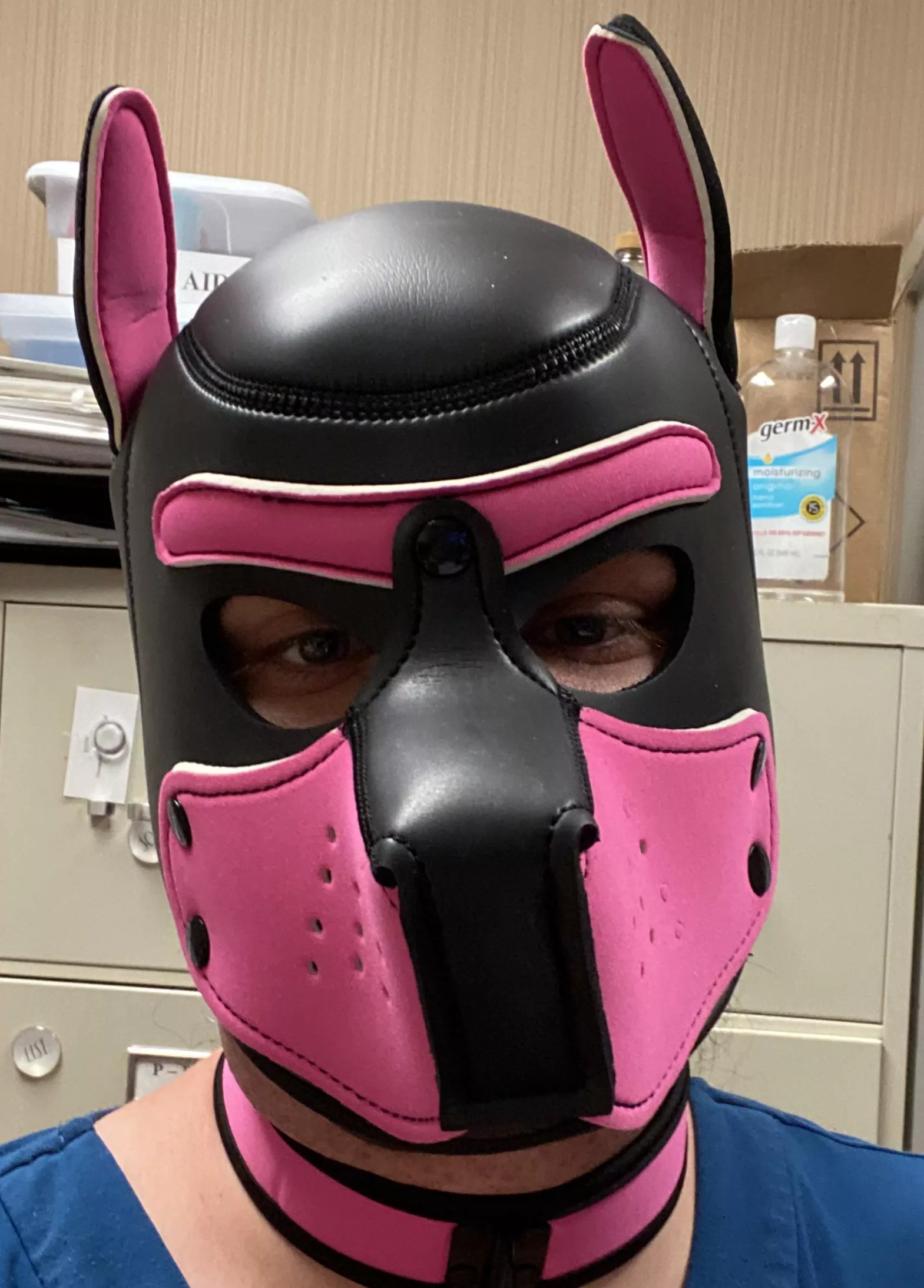 Pup looking for friends and handler