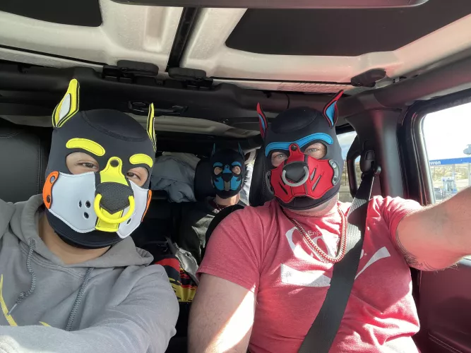 Puppy Road Trip