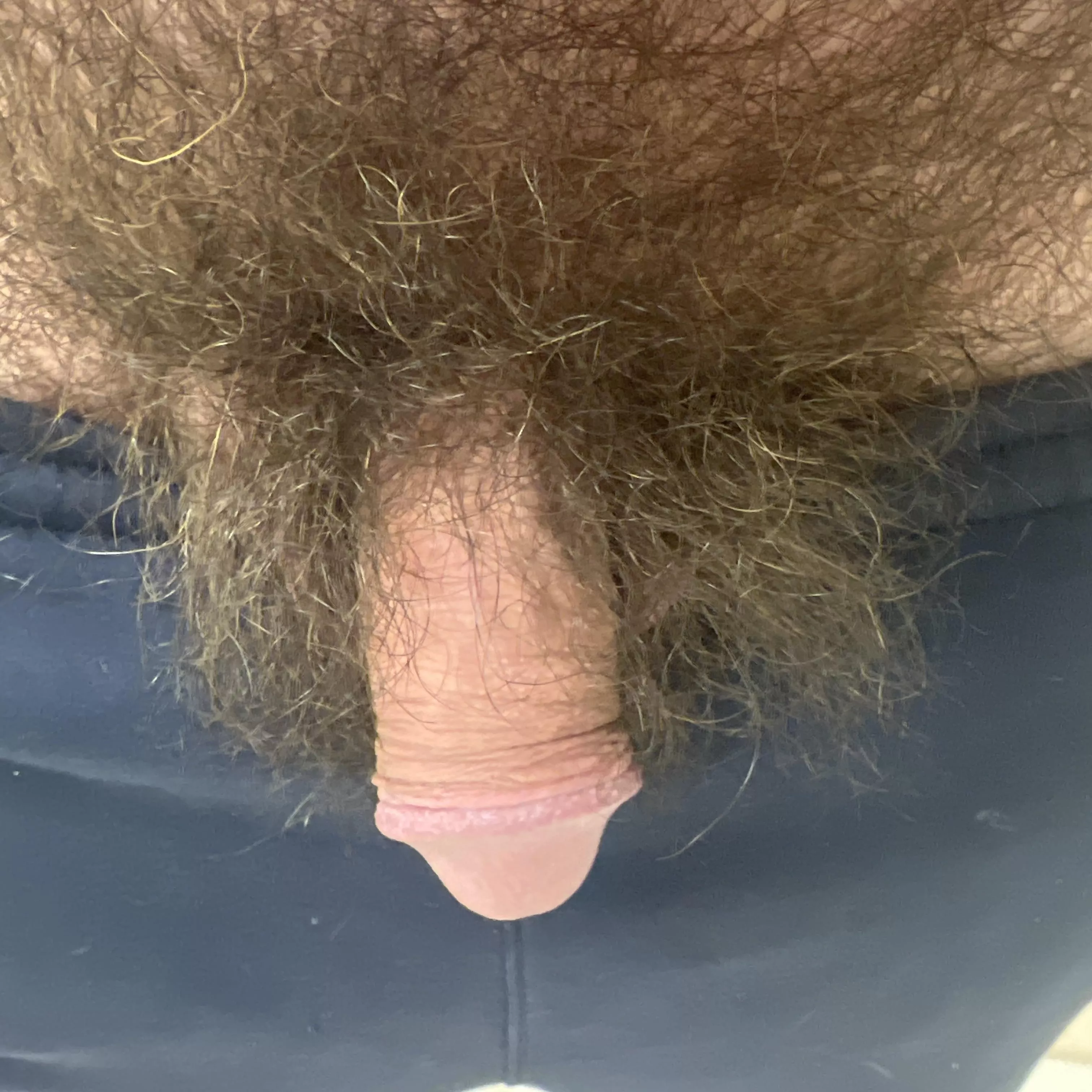 Any fuzzy bears/dads wanna talk dirty and get me hard? DMs open (40)