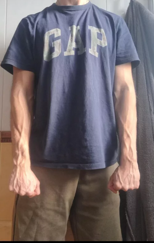My vascular forearms