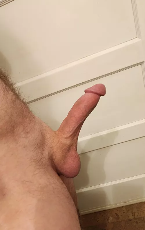 Rate my throbbing cock?