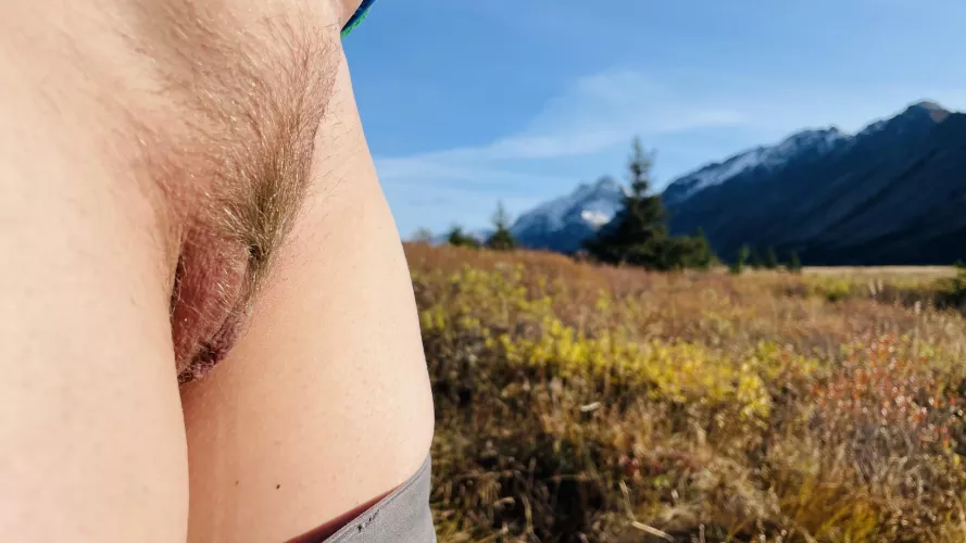 Who appreciates an Alaskan bush… 🤭😏