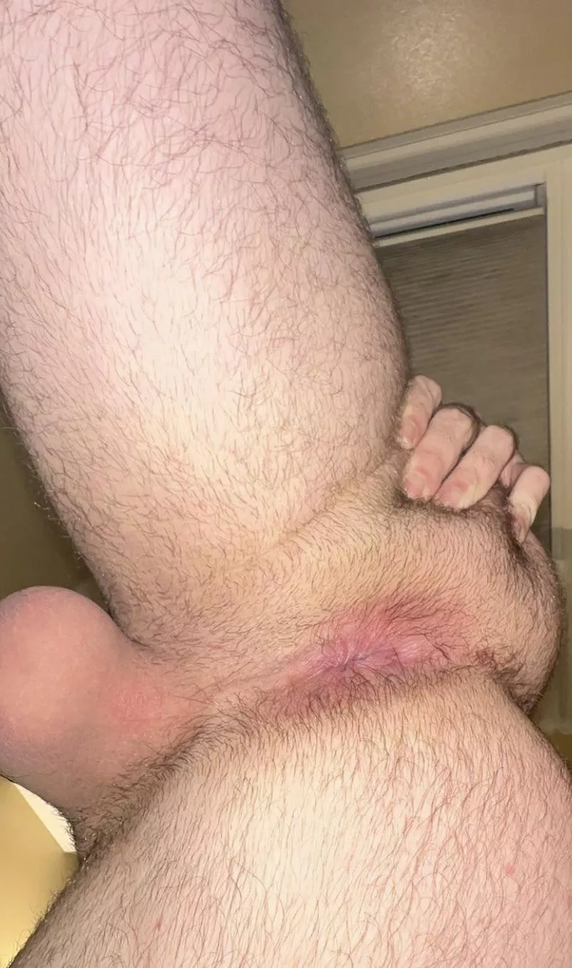 Would you lick my hole?