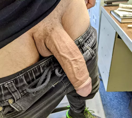 Come and lick the tip, make it hard in your mouth