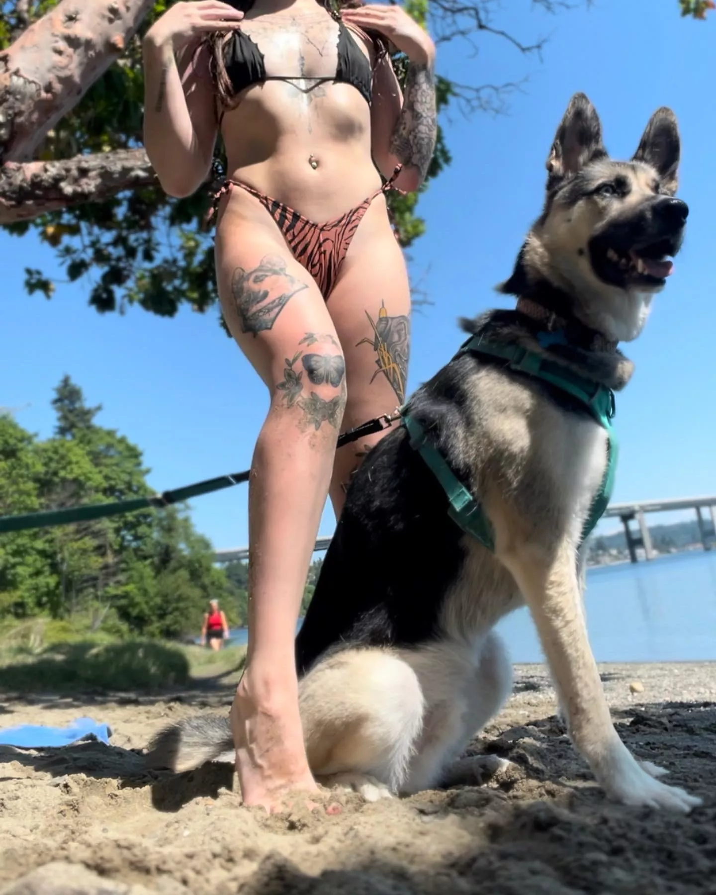 Do you want to take a walk with us?