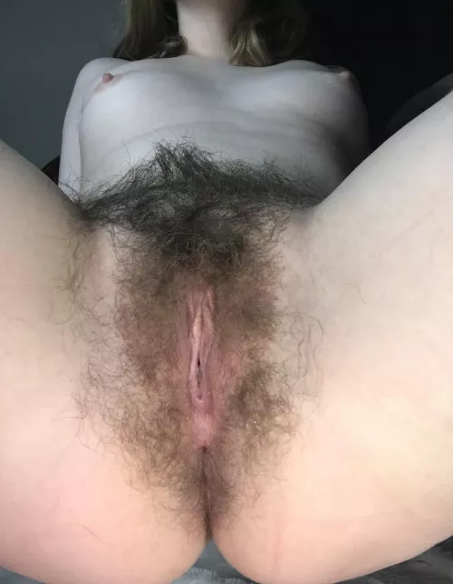 How would you describe my bush?:)