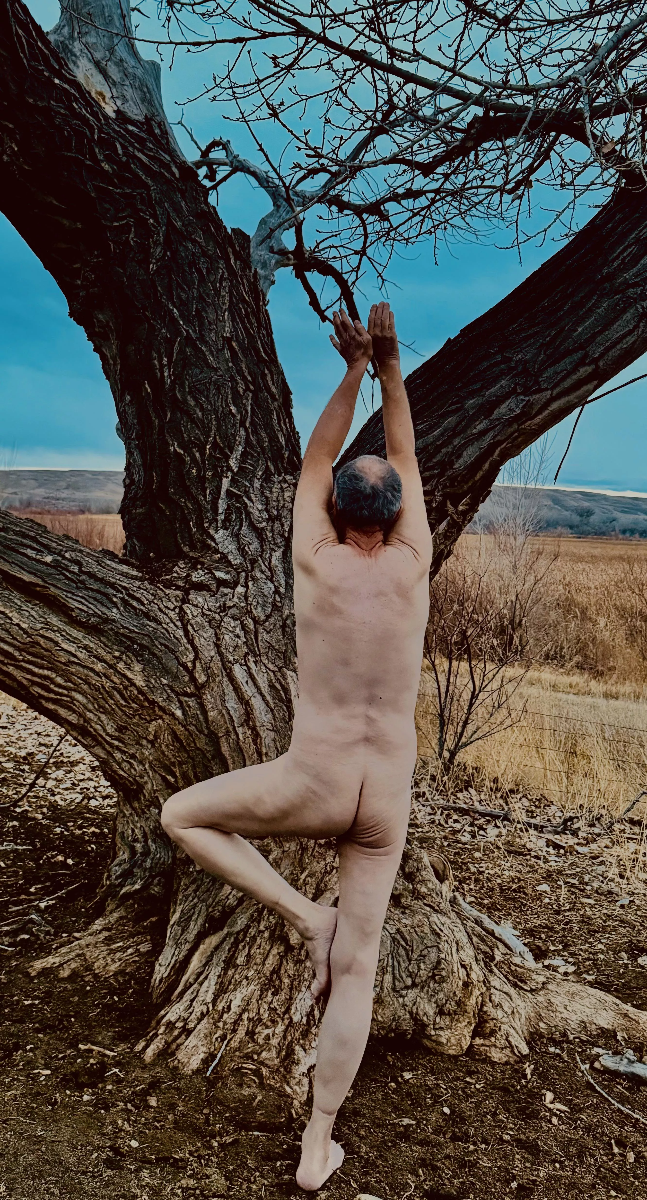 🌳Tree Pose Tuesday 🌿