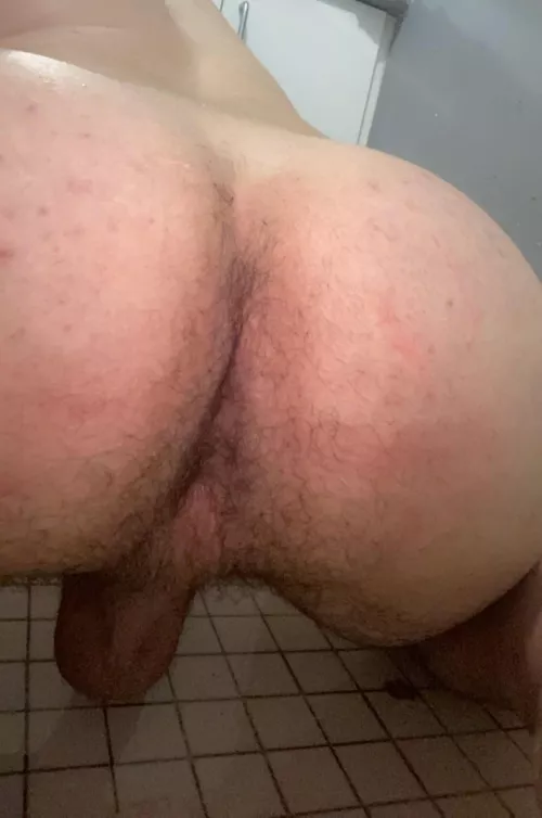 Would you breed my hairy hole ?