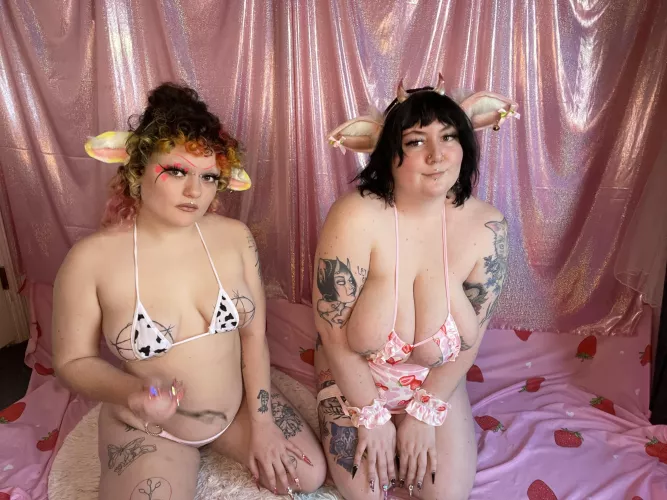 Do you have room in your stable for two more cows?