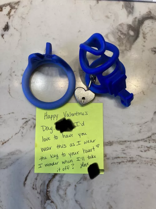 I guess my wife did have plans for Valentine’s Day.