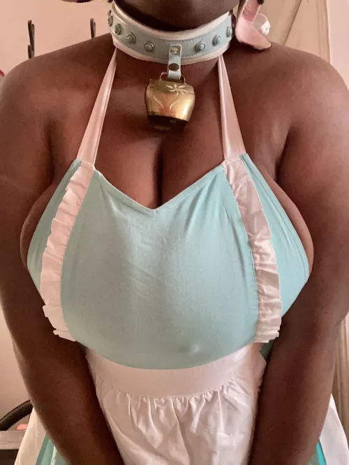 Pretty Little House Cow