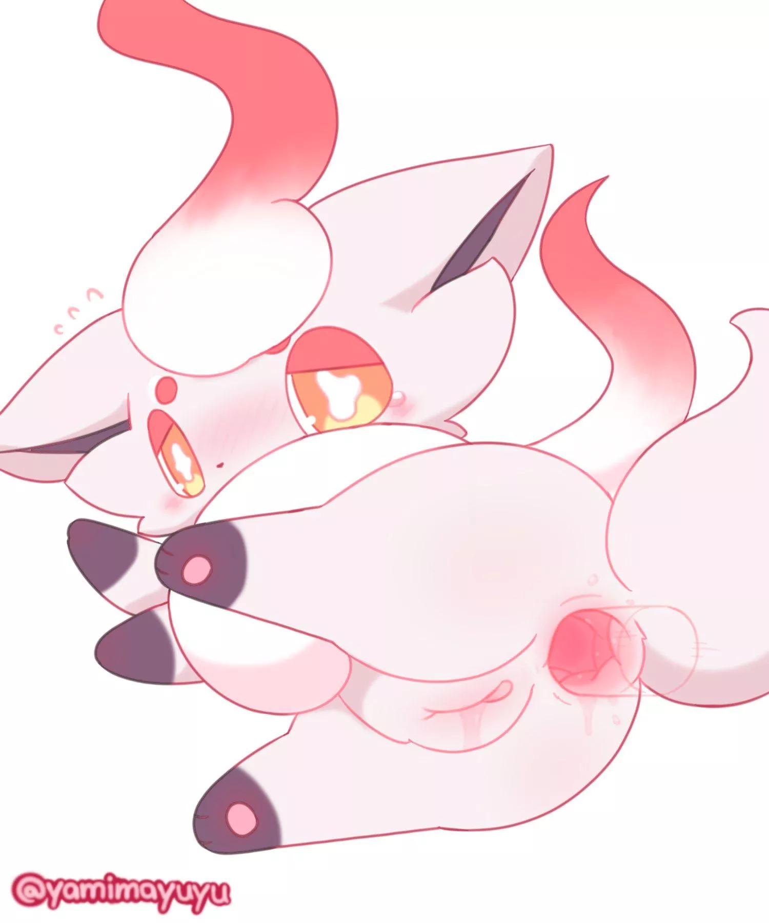 Zorua wants you to be gentle[F]