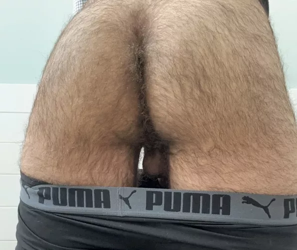 Don’t get lost 🌳 