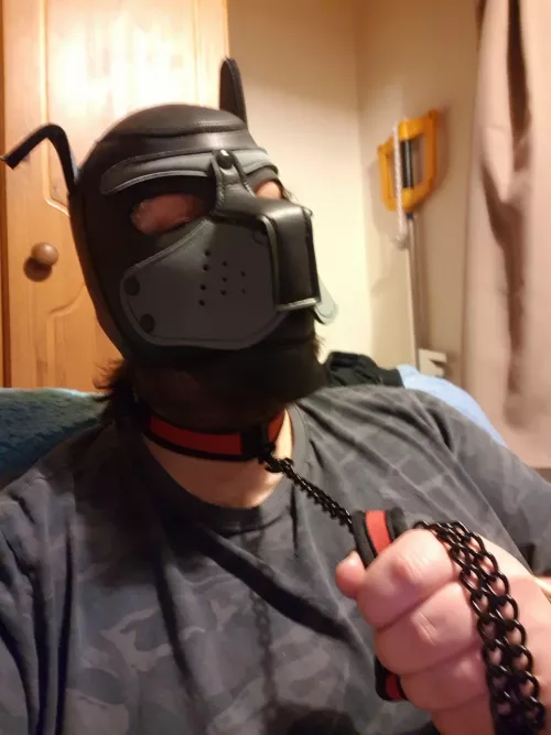 Like my new collar?
