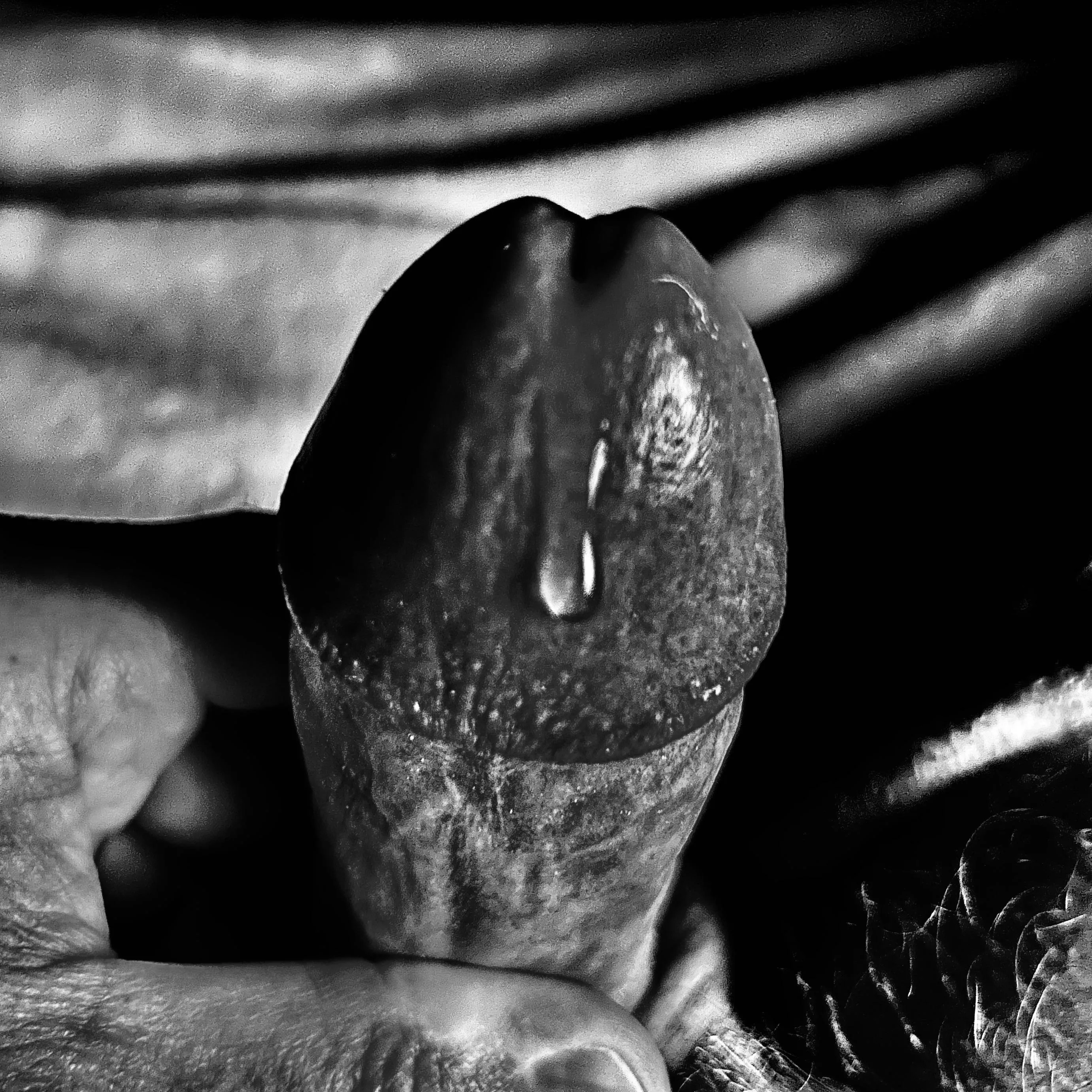 Slowly seeping sweetness