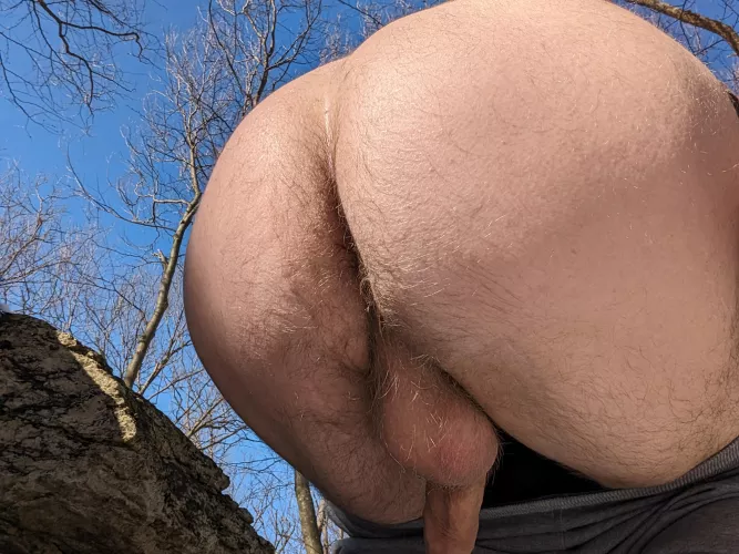 Snapped this before my buddy caught up on the trail