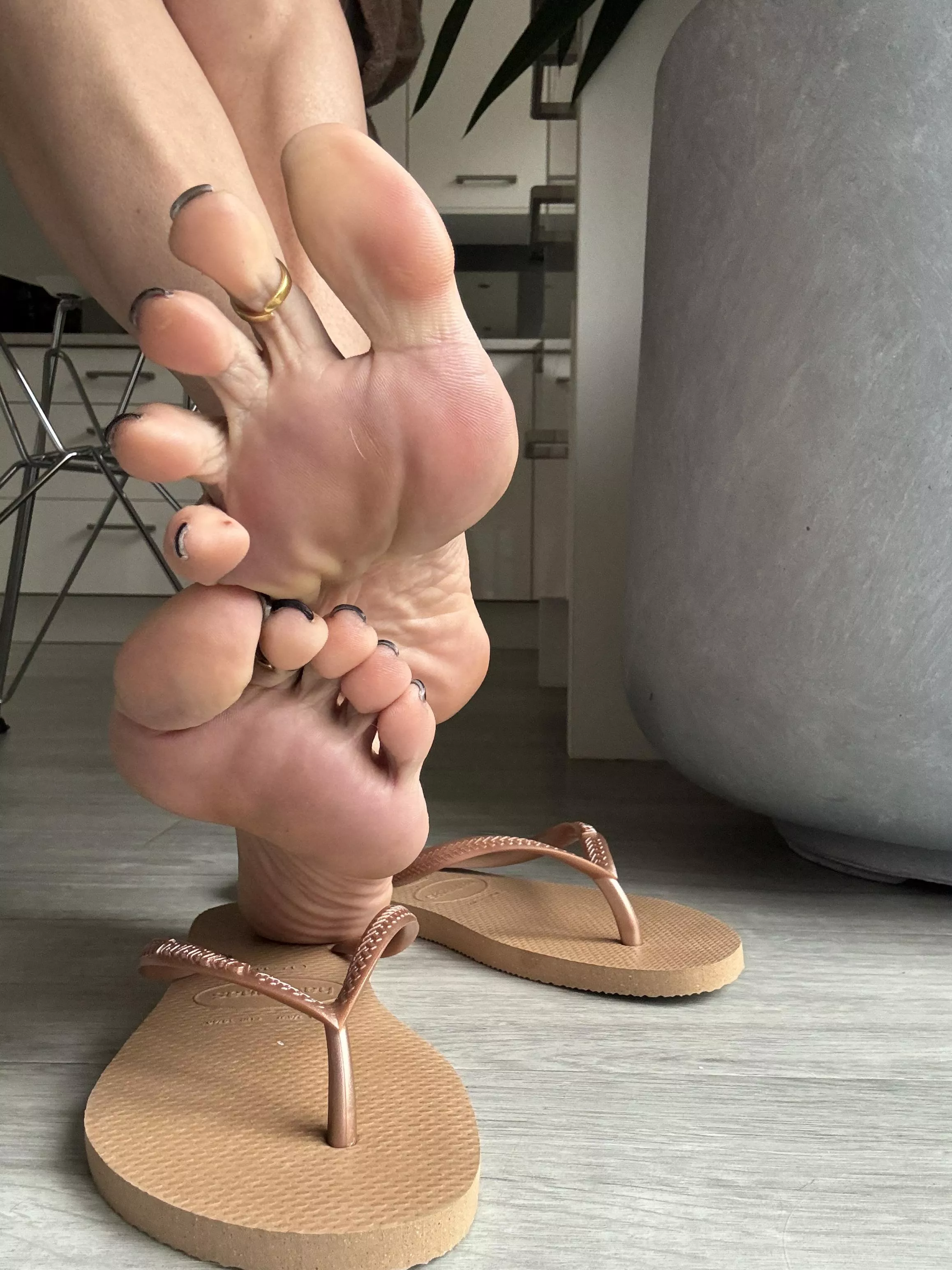 Would you like to get under my feet?